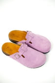 Clogs - Blossom Rose