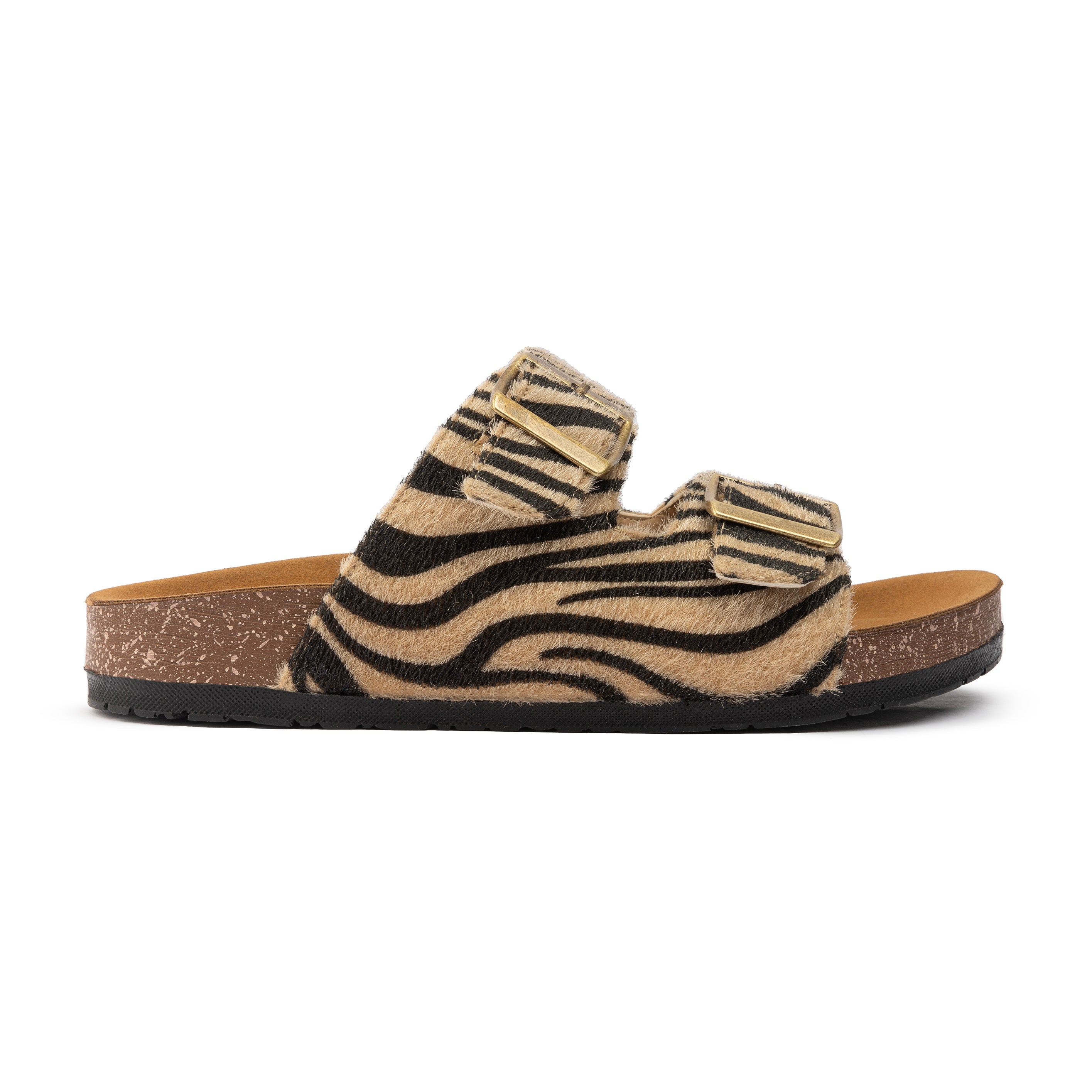 Zebra Print Slipper - Danio Zebra