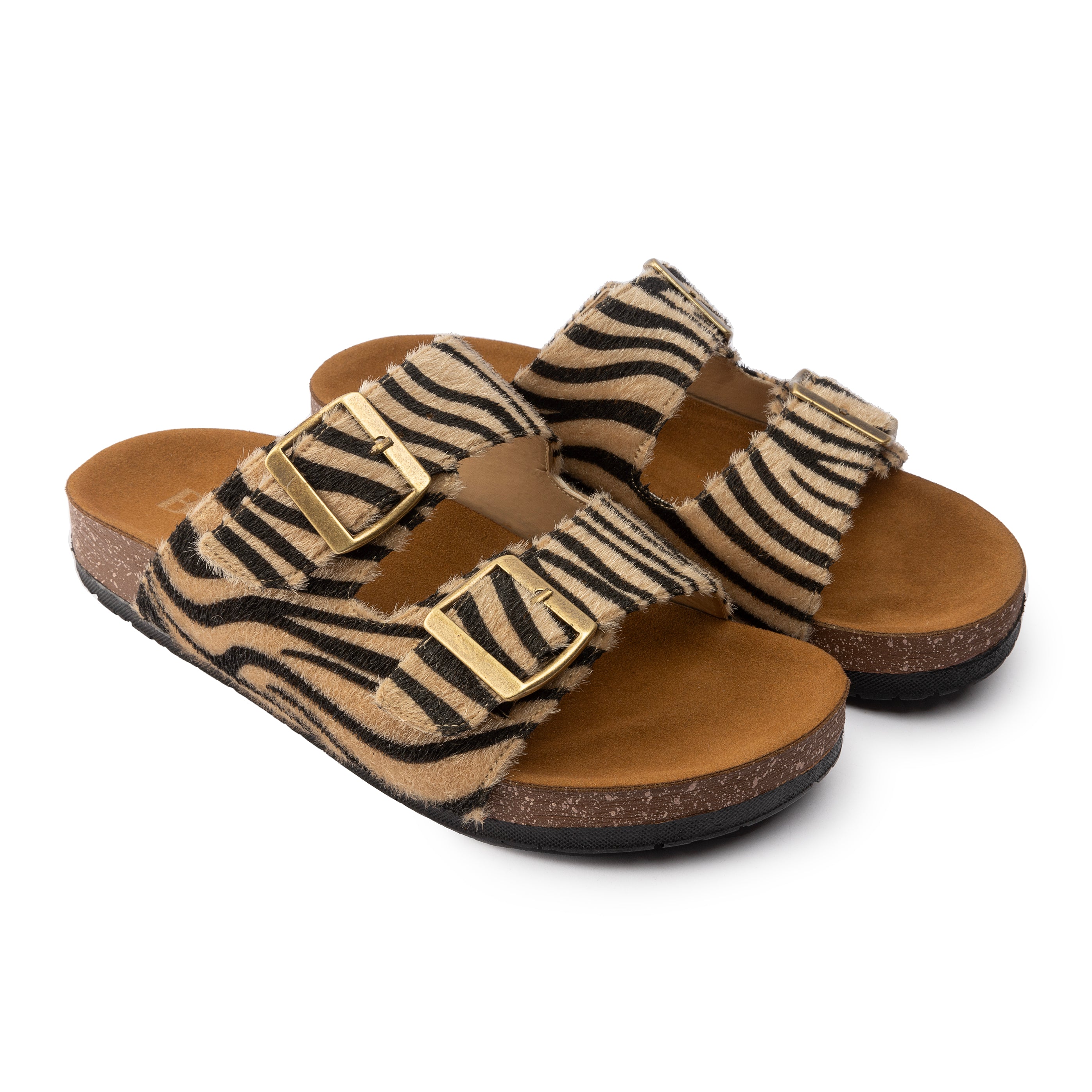 Zebra Print Slipper - Danio Zebra