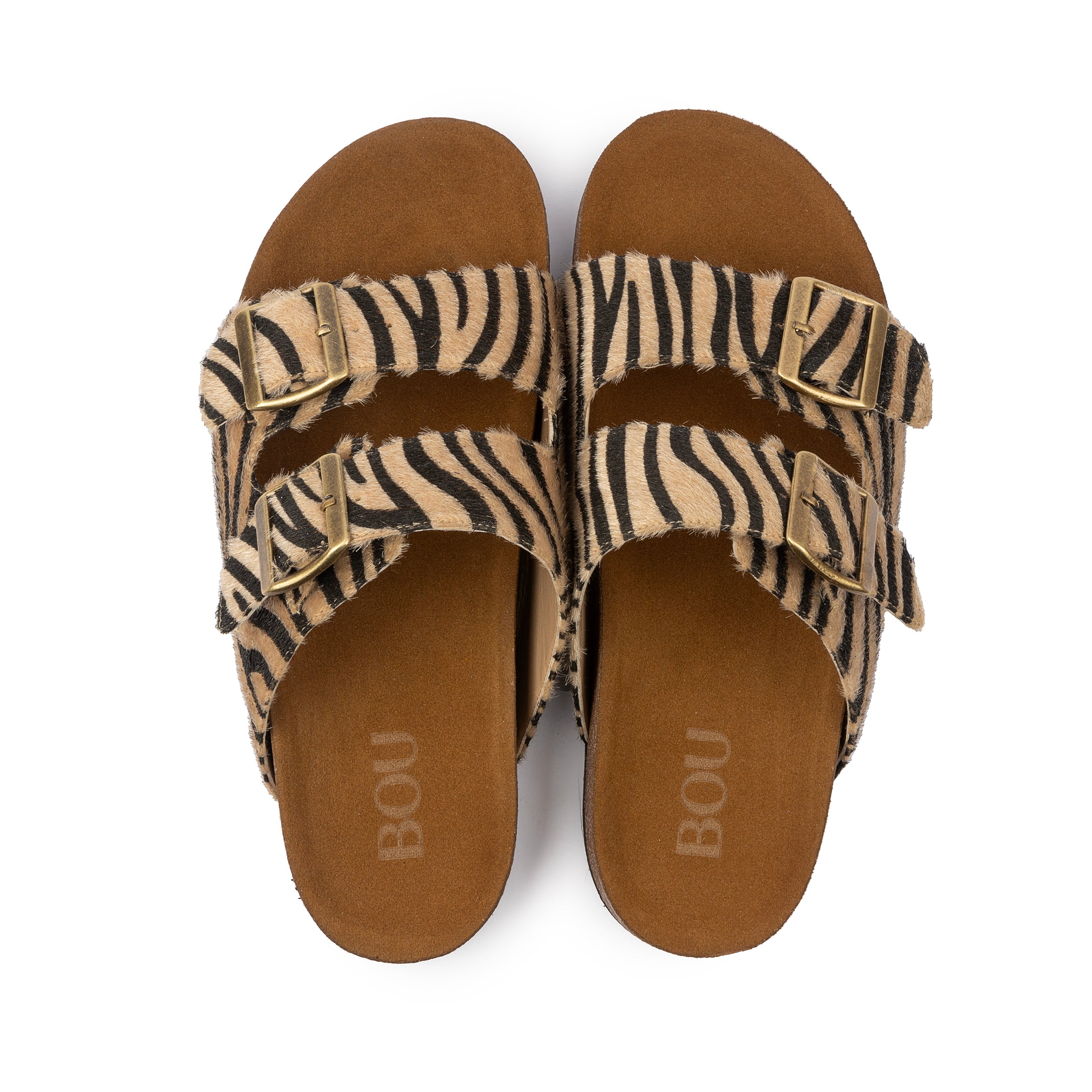 Zebra Print Slipper - Danio Zebra